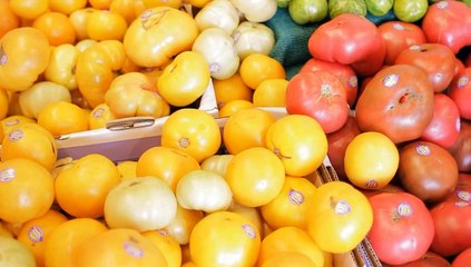 Nutrients Absorbed by the Large Intestine