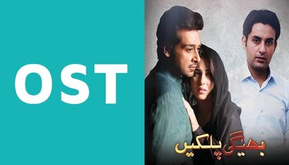 Bheegi Palkein OST Title Song on Aplus