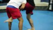 Tae Kwon Do vs. Brazilian Jiu-Jitsu