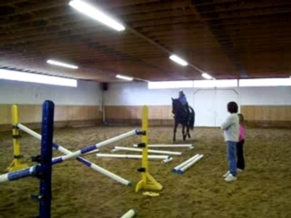 Photos chevaux Prévost 007