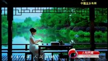 Beautiful Chinese Music【38】Traditional【Water Village In My Dream】