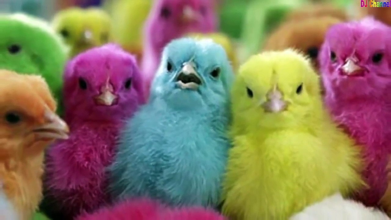 Đàn Gà Trong Sân Remix - Nhạc Thiếu Nhi Vui Nhộn Hay Nhất