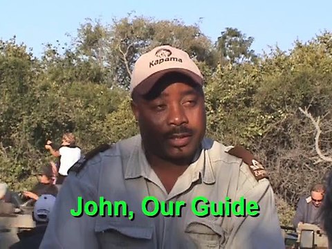 First Safari Game Drive: Impala, Zebra, Elephant, Lion, Porcupine; Kapama Reserve, South Africa