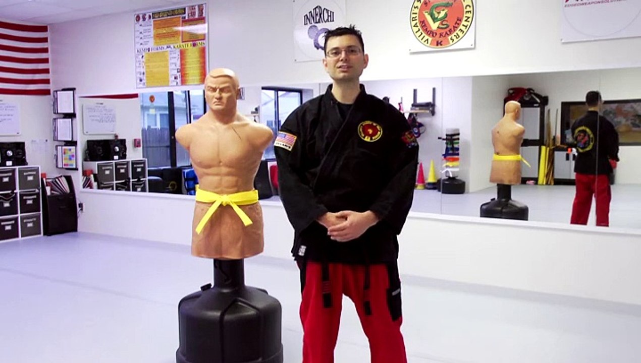 How Long Does It Take to Get a Yellow Belt in Kempo? video Dailymotion
