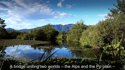 Moving to Live! 🎥 A Heartfelt Italian Documentary About New Beginnings