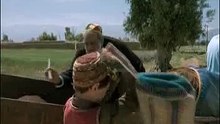 مسلسل مقطوع من شجرة _ الحلقة 18