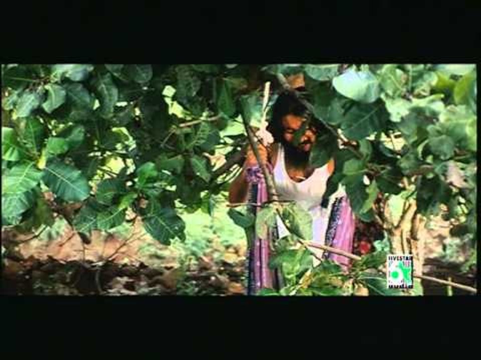 Aararo Aariraro Thagappan Samy Tamil Movie HD Video Song