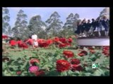 Devanin Kovililae Vellai Roja Tamil Movie HD Video Song