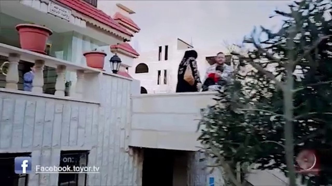 طيور الجنة