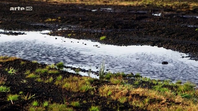 Enquête D'ailleurs s02e12 Les Momies Des Tourbières, Des Corps Pour Les Dieux