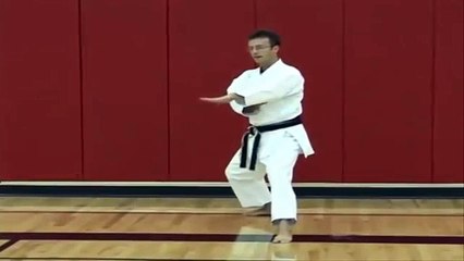 Técnicas de Karate Shotokan