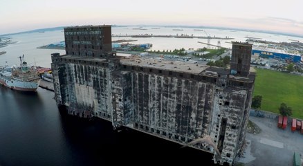 Collision Averted as Falcon Chases Drone in New York