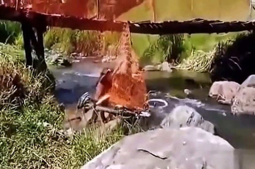 Selección de videos divertidos vídeos divertidos 2015 2015