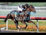Remembering Shared Belief
