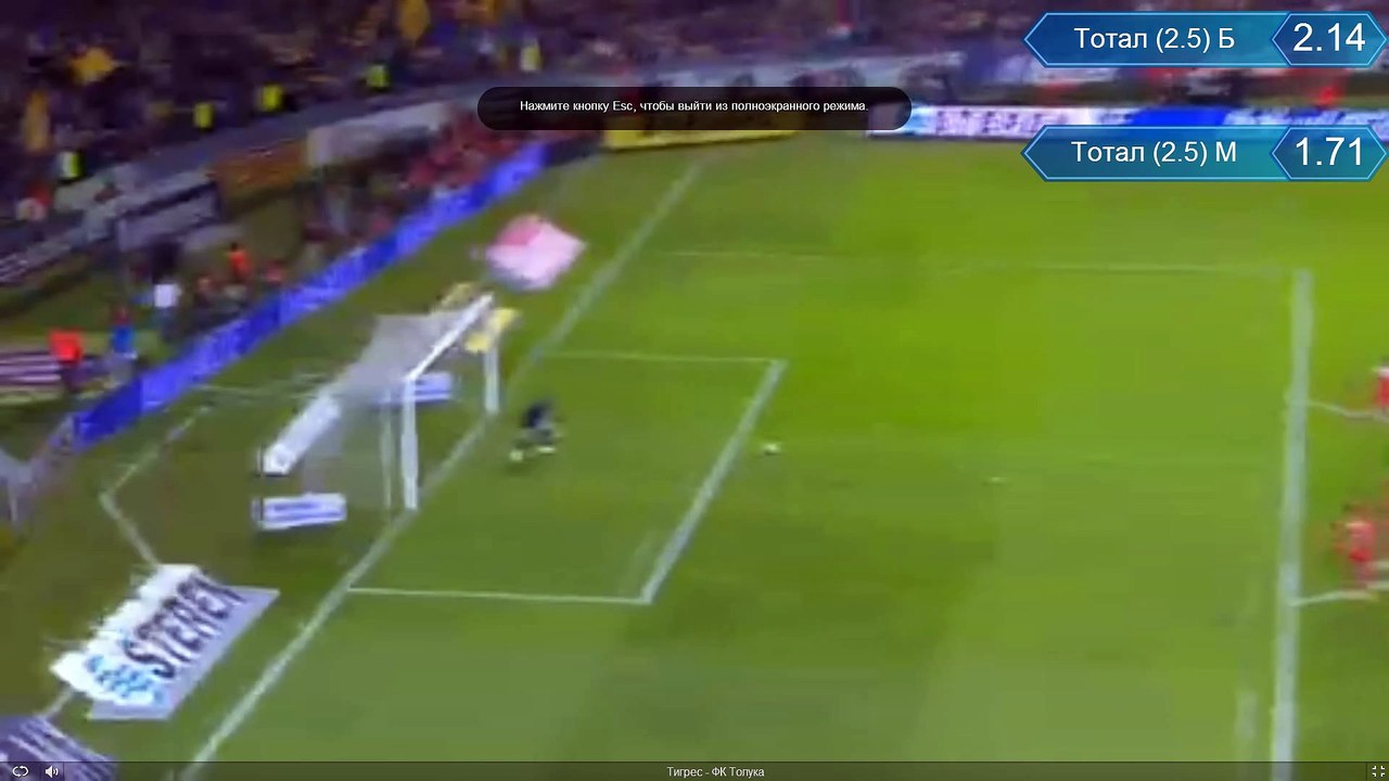 Tigres vs Toluca 03.12.2015