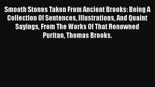 Smooth Stones Taken From Ancient Brooks: Being A Collection Of Sentences Illustrations And