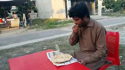 Nokar b insan hoty ha