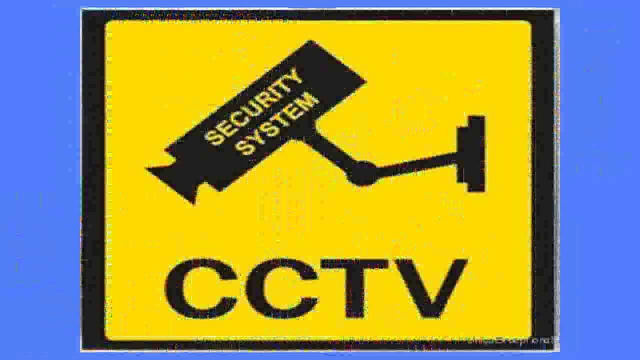 Dome Surveillance Cameras  UniquExceptional UDC6 Outdoor Dome Fake Security Camera with BLINKING LIGHT