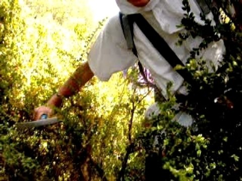 Stage St Martin de Londres juin 2006