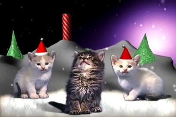 Cancion noche de paz cantada por Gatos