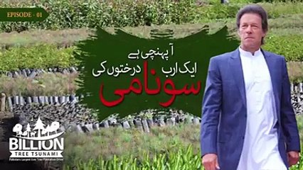 کراچی نے تبدیلی کو گلے لگایا۔ کراچی پکار رہا ہے، تبدیلی تم سے