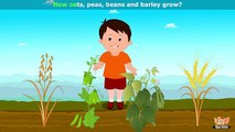 Oat, Peas, Beans and Barley - Nursery Rhyme with Karaoke