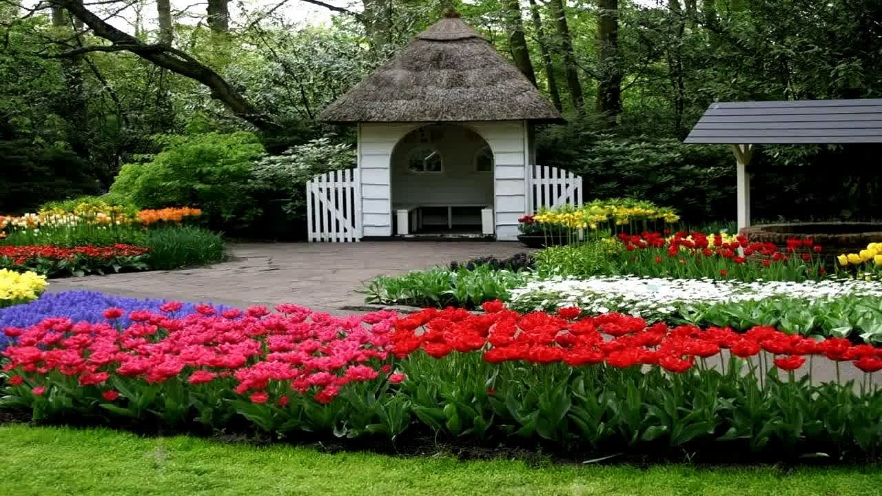 Main Madine Chala Main Madine Chala - Naat By Muhammad Owais Raza Qadri