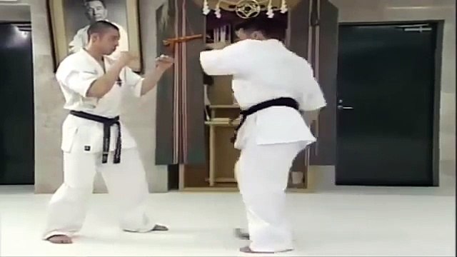Lecciones Técnicas de Karate Kyokushin