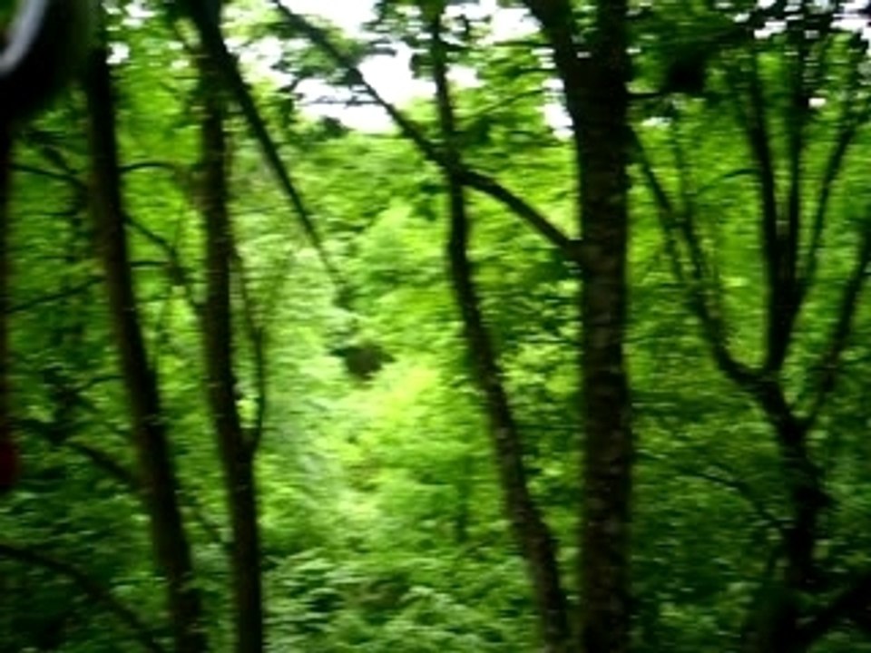 Tyrolienne Accrobranche