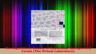 Read  The Algorithmic Beauty of Seaweeds Sponges and Corals The Virtual Laboratory PDF Free