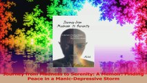 Journey from Madness to Serenity A Memoir Finding Peace in a ManicDepressive Storm PDF