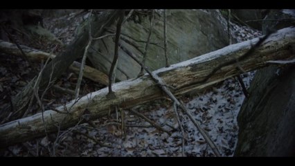 Far Cry Primal - Les coulisses du développement