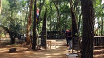 Keindahan Hutan Pinus Sudimoro di Mangunan, untuk Foto Prewedding dan Mencari Inspirasi