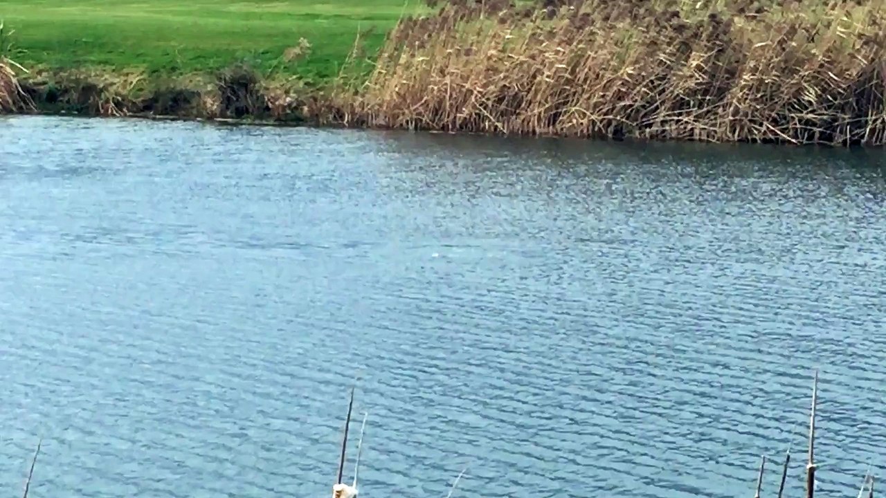 Mysteriöse Beobachtung im Chiemgau