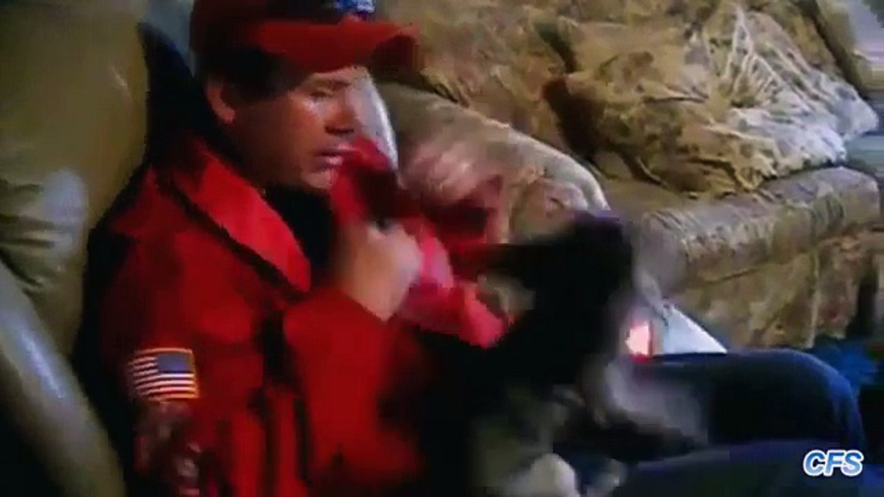 Quels mots irriter chiens chiens drôles ne aiment certains des mots