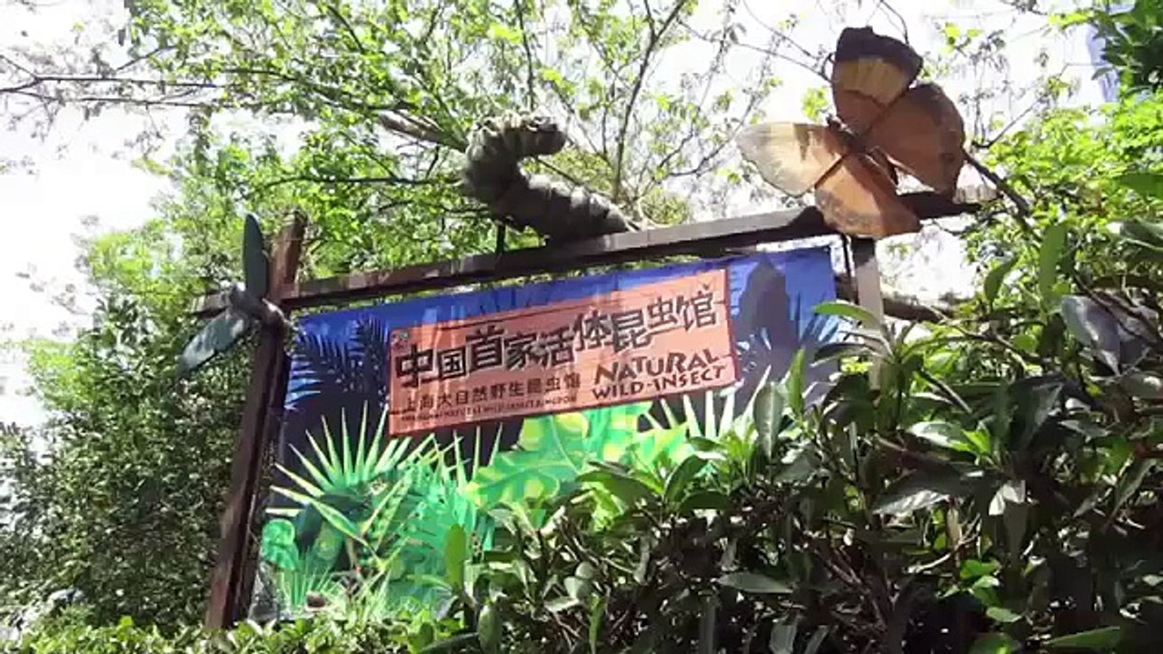 Tour of Shanghai Natural Wild Insect Kingdom, China Travel World