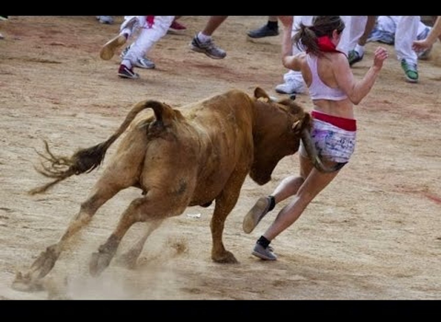 A very dangerous Bull Fighting game