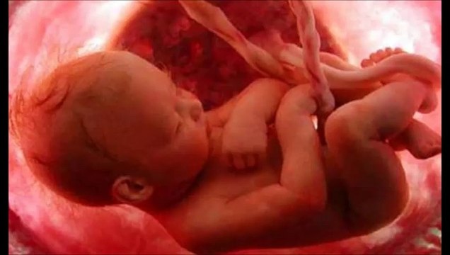 خطر نقص الحديد عند المرأة الحامل