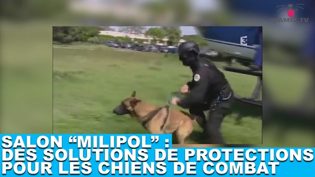 Salon Milipol : Des solutions de protections pour les chiens de combat. Découvrez les dans la minute chien #58