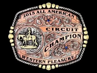 Mollys Custom Silver - Buckle Building