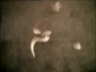 çabuk olalım aşkım