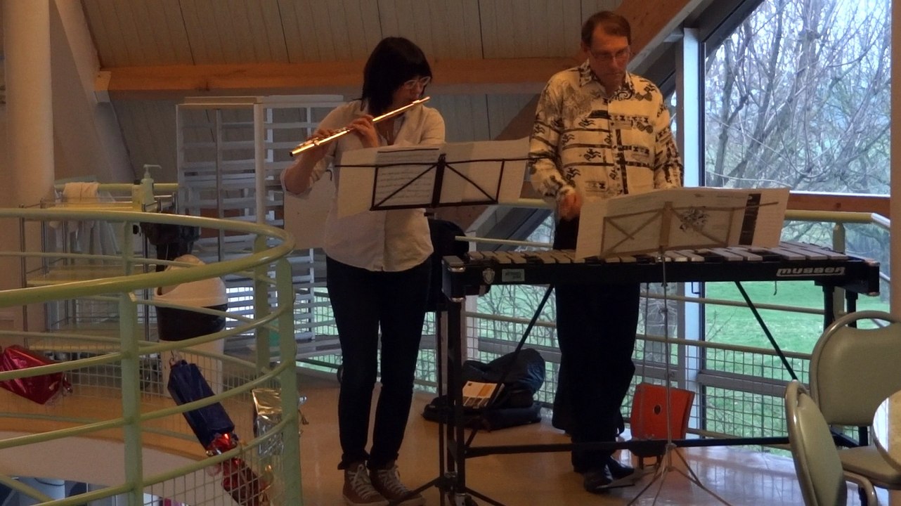 "Petites musiques de chambres" à La Mirandière avec Claire Louwagie et Didier Ferrière, le 3 décembre 2015.
