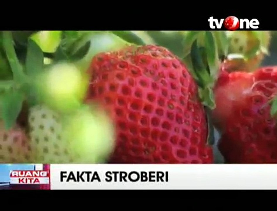 Beragam Manfaat Buah Stroberi