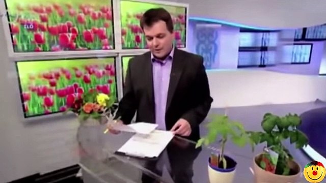 Best TV News Bloopers __ Best Reporter Fails August 2015 __ Funny Video