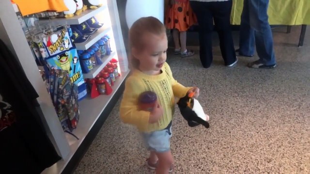 Saturday SeaWorld Orlando: Sharks, Dolphins, Roller Coasters & Night Ranger