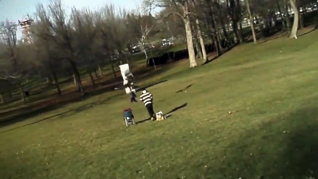 Орёл чуть не унёс ребенка. Жесть