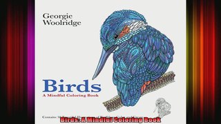 Birds A Mindful Coloring Book