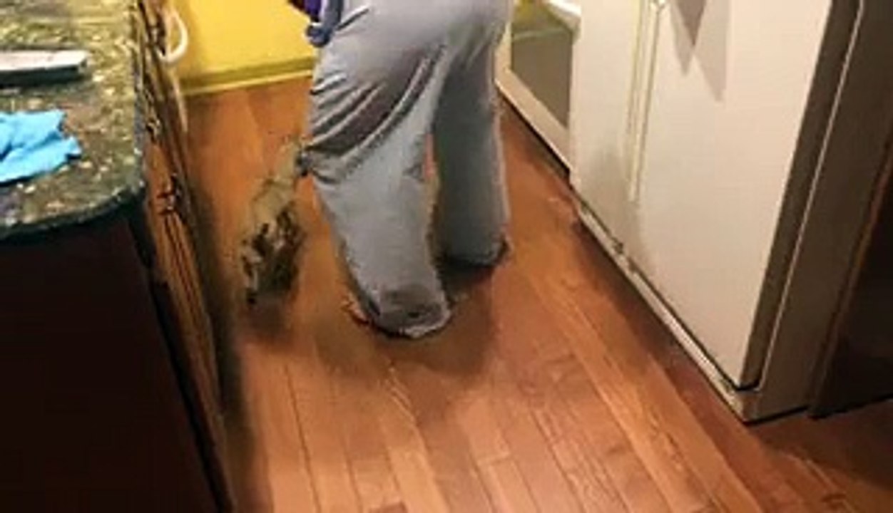 Funny Animal- Bonnie hates to eat alone! - Video Dailymotion_3