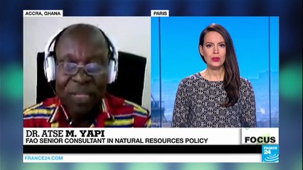 Ghana's battle against deforestation