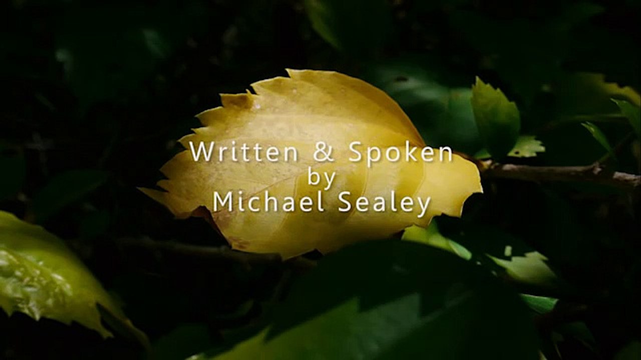 Sleep Hypnosis Journey to Become Your Ideal Self (Inner Advisor, Relaxation, Confidence)